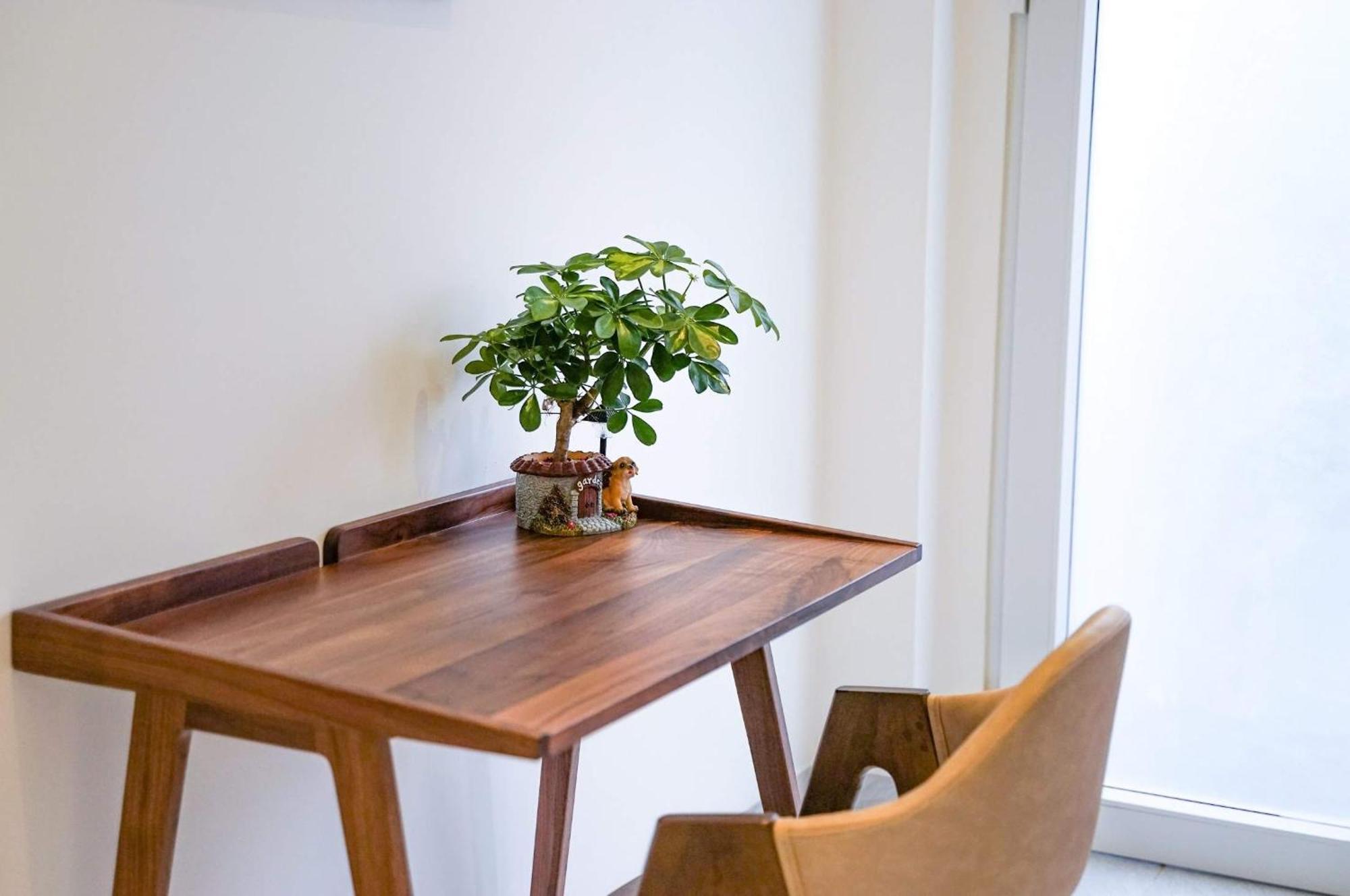 Local White House - Ecofriendly Homestay Da Nang Eksteriør billede