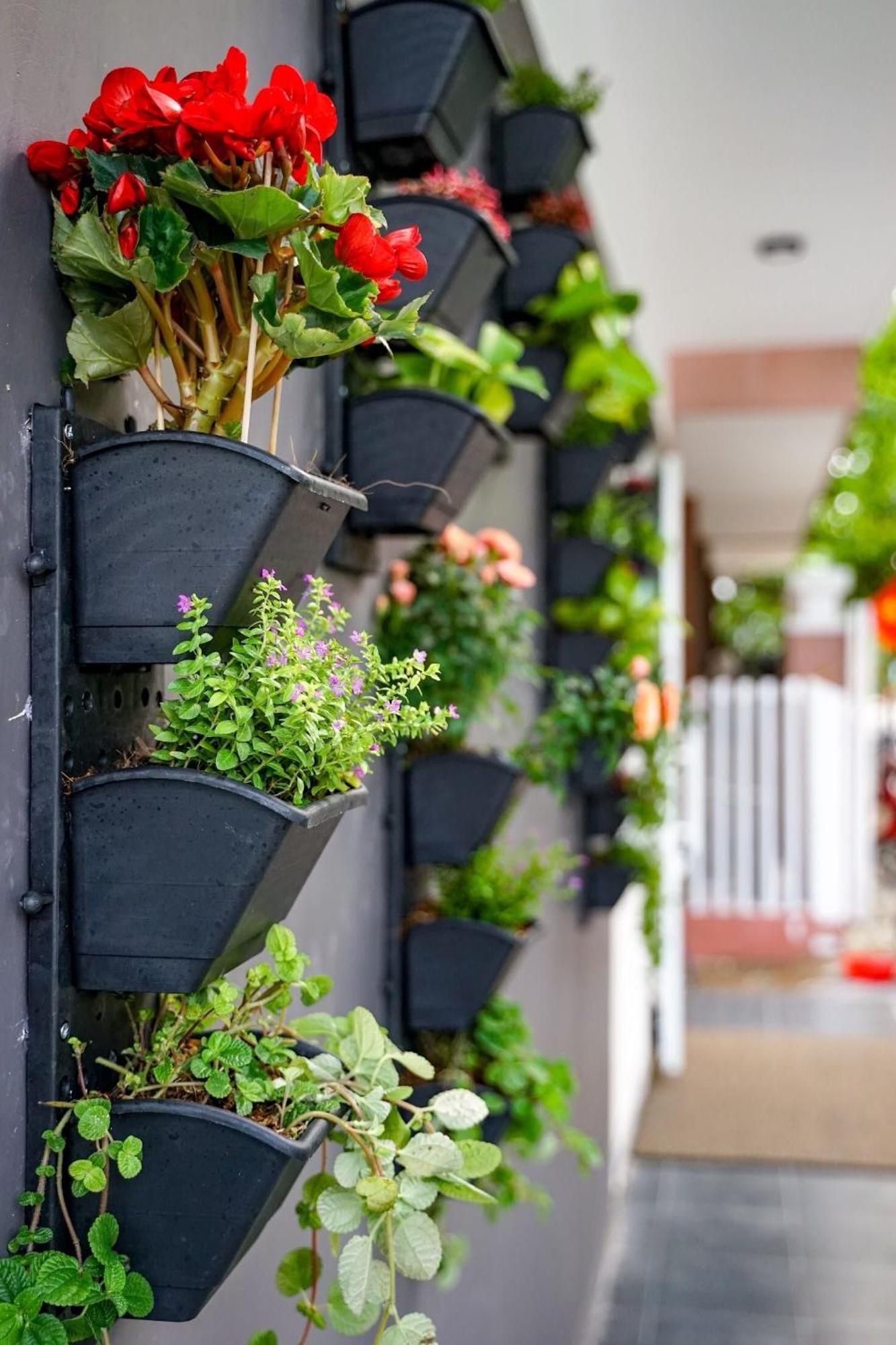 Local White House - Ecofriendly Homestay Da Nang Eksteriør billede