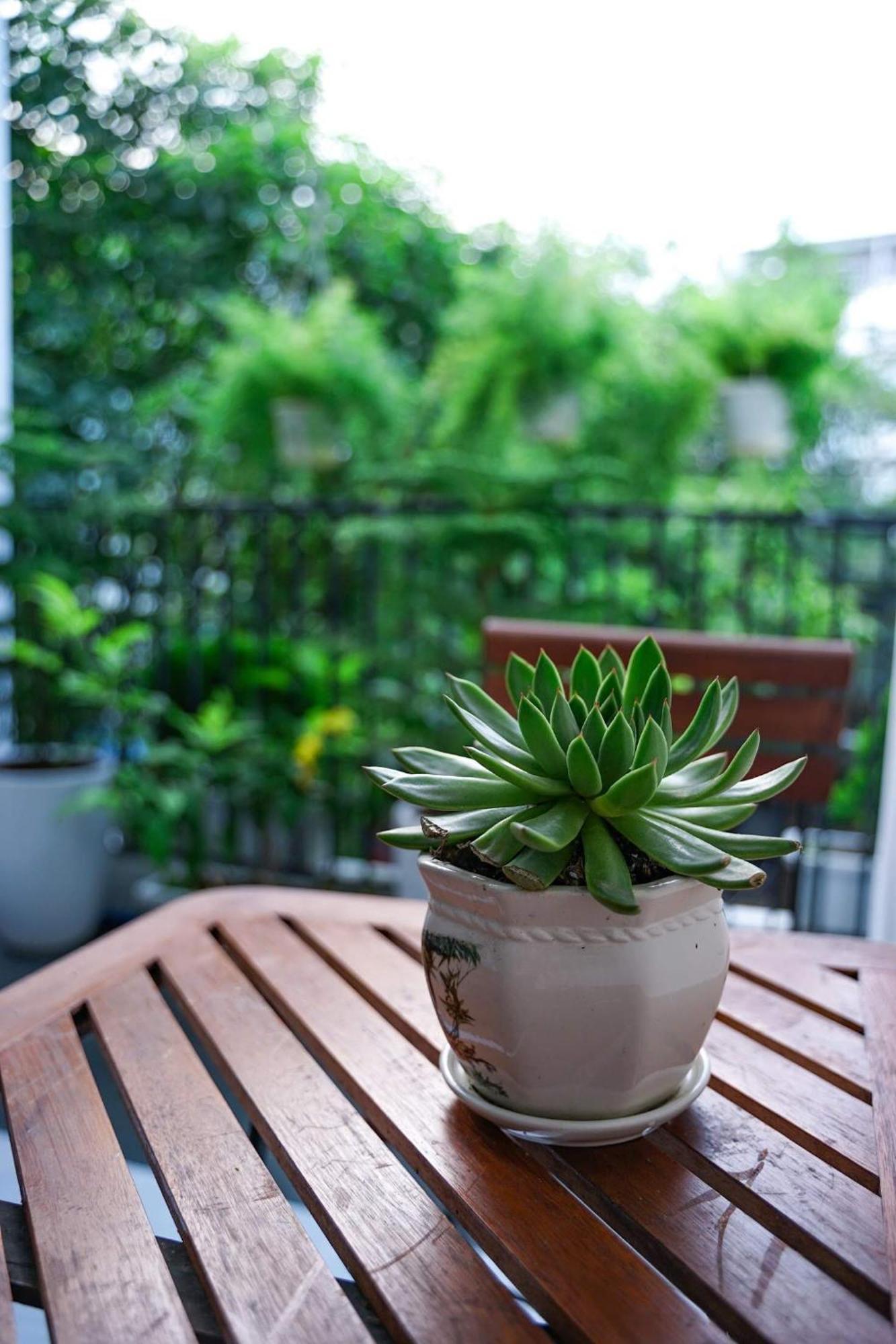 Local White House - Ecofriendly Homestay Da Nang Eksteriør billede
