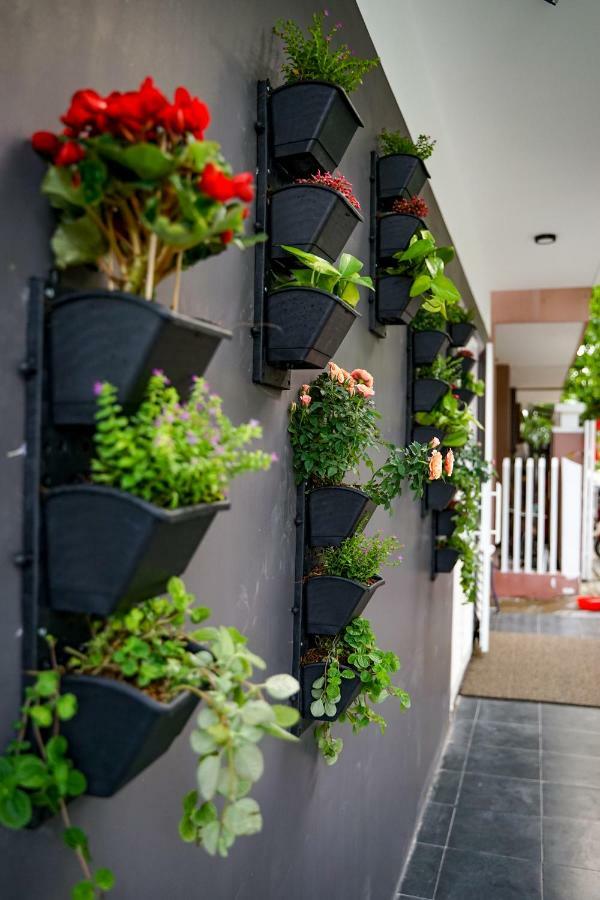 Local White House - Ecofriendly Homestay Da Nang Eksteriør billede